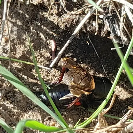 Proche Port Centre Village Dom wakacyjny