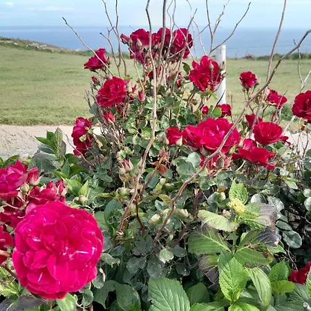 Proche Port Centre Village *