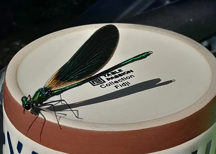 Proche Port Centre Village * Barneville-Carteret