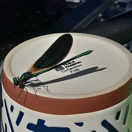 Proche Port Centre Village * Barneville-Carteret