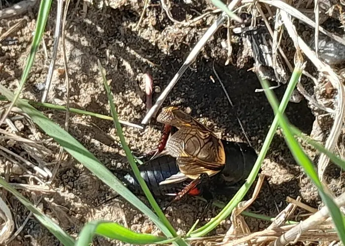 Proche Port Centre Village Дом отдыха