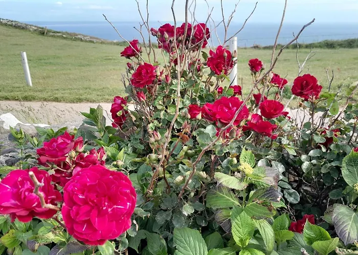 Proche Port Centre Village *